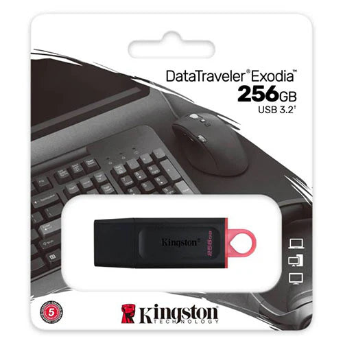 MEMORIA USB KING 256GB